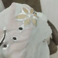 پرده والون مخمل طلا کوب|پرده، رانر، رومیزی|چناران, |دیوار