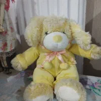 عروسک|اسباب‌‌بازی|رشت, فلسطین|دیوار