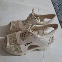 کفش مجلسی|کیف، کفش، کمربند|باغستان, |دیوار