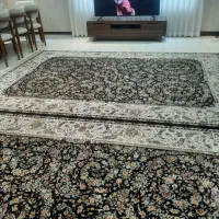 فرش ۹ متری|فرش|رشت, استقامت ۱|دیوار