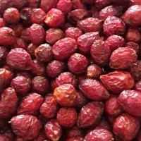 گیلدیح پاک شده وخشک
