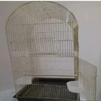 قفس بزرگ ، لانه عروس هلندی