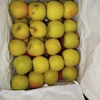 سیب کوهستان هزارمسجد ارگانیک، خوش‌عطر