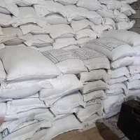 گندم پیشگام