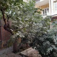 ملک ویلایی۱۵۵ متری