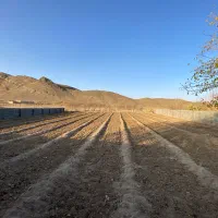 زمینه کشاورزی زیر کشت زعفران(قیمت توافقی)