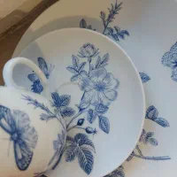 سرویس خاص و زیبای پروانه