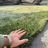 پخش چمن مصنوعی و فنس برگ ریحون ( کارکرده و نو )|مصالح و تجهیزات ساختمان|تهران, جوانمردان (اندیشه)|دیوار