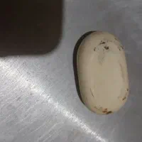 سنگ های قیمتی