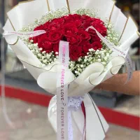 گل آستر|گل و گیاه طبیعی|رشت, دیلمان|دیوار