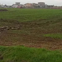 ۱۲۰۰ متر زمین کشاورزی