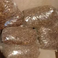 خرید و فروش ضایعات عمده و خورده. درنرماشیر|عمدهفروشی|نرماشیر, |دیوار