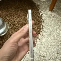 ایفون ۱۳نرمال|موبایل|مشهد, شهرآرا|دیوار