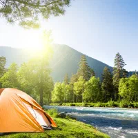 استخدام نیروی خانم جهت همکاری درتورگردشگری