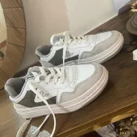 کفش و پوتین