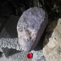 شهاب سنگ وفسیل