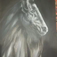 تابلو رنگ روغن با لوازم باکیفیت|تابلو، نقاشی، عکس|محمدیه-قزوین, |دیوار