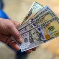 دلار کلکسیون