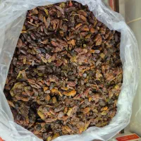 کشمش افتابی و گله کاشمری تربت جام|خوردنی و آشامیدنی|تربت جام, علوی|دیوار