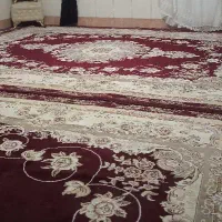 قالی زرشکی|فرش|تایباد, |دیوار