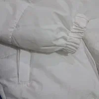 کاپشن مردانه|لباس|قروه, |دیوار