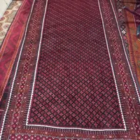 فرش دستباف زابلی|فرش|زابل, |دیوار