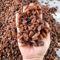 کشمش افتابی گله کاشمر|خوردنی و آشامیدنی|مشهد, کوشش|دیوار