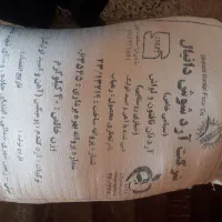 اردتازه خبازی