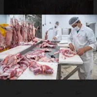 کارخانه سوله بسته بندی انواع گوشت و همبرگر|فروش دفتر صنعتی، کشاورزی، تجاری|تهران, فردوسی|دیوار