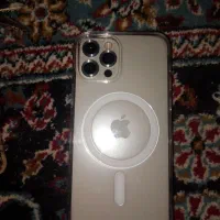 گوشی آیفون 12pro|موبایل|بندرعباس, |دیوار