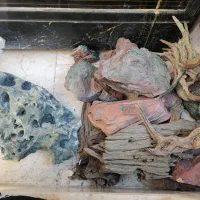 فروش وسایل اکواریوم|لوازم جانبی حیوانات|رفسنجان, |دیوار