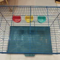 قفش پرنده|لوازم جانبی حیوانات|قرچک, شهرک الحدید|دیوار