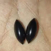 مهره سلیمانی|بدلیجات|پیشوا, |دیوار