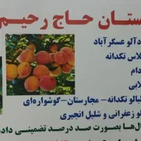 نهال زردآلو ،گیلاس،البالو،شلیل