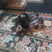 کفش|کیف، کفش، کمربند|شاهین‌شهر, گرگاب|دیوار