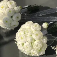 گل عروس|گل مصنوعی|ایلام, |دیوار