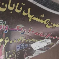 فرش نونو|فرش|ملایر, |دیوار