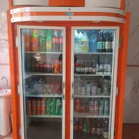 یخچال دودرب