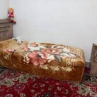 فرش 12متری|فرش|بروجرد, |دیوار