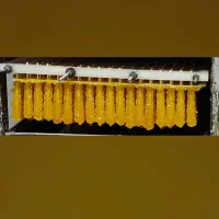 نبات چوبی|خوردنی و آشامیدنی|اصفهان, سرتاوه|دیوار