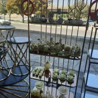 قفسه فورتیک طلایی ونقره ای باتخفیف ویژه