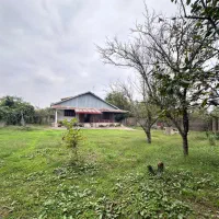 فروش خانه باغ ویلایی سند رشت فومن|فروش خانه و ویلا|رشت, حافظ آباد|دیوار