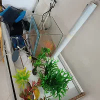 اکواریوم