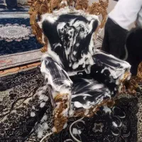 مبل شویی صنعتی آراز منزل