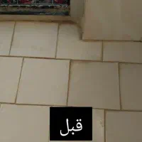 شوینده همه کاره بودیت|مواد شوینده و دستمال کاغذی|مشکین‌دشت, |دیوار