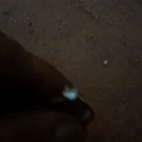 انگشتر زنانه نگین دار گمشده