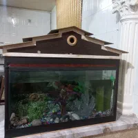 اکواریوم با کلبه