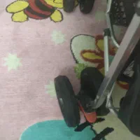 کالاسکه|کالسکه و لوازم جانبی|اصفهان, برازنده|دیوار