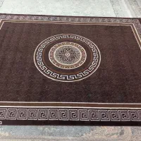 گلیم فرش پرز دار ۱۲ متری|فرش|الیگودرز, |دیوار