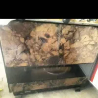 بخاری در حد نو